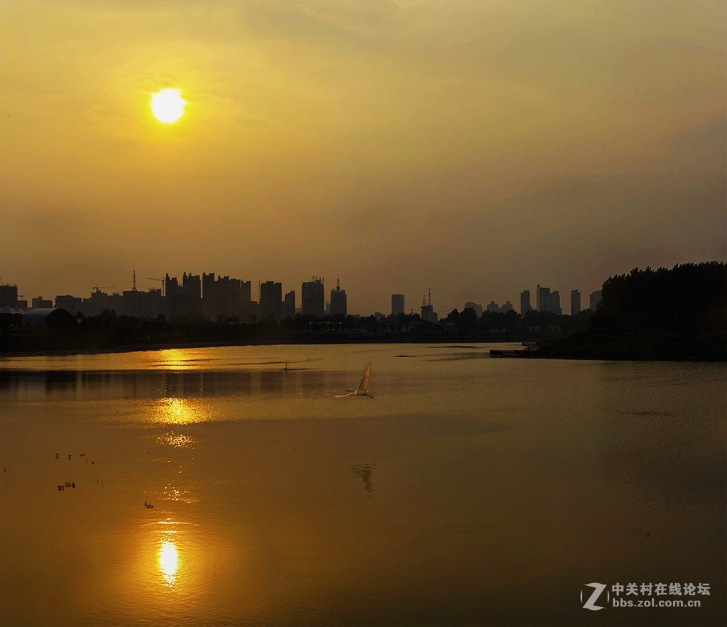 摄影。因为喜欢，所以坚持，尽管走不出瓶颈，也绝不会放弃。