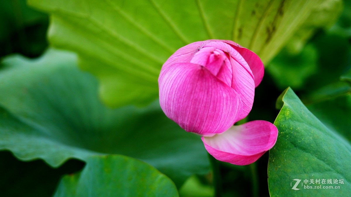 又是南江消暑时