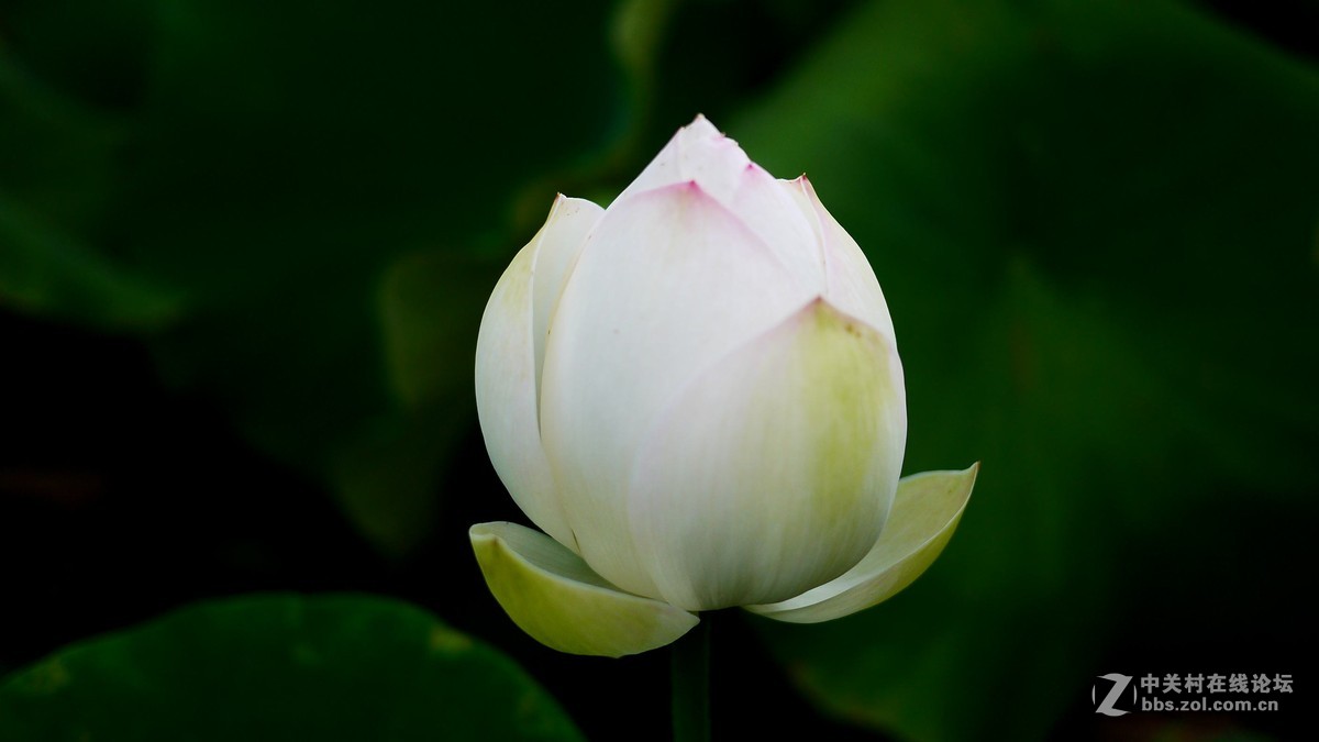 又是南江消暑时