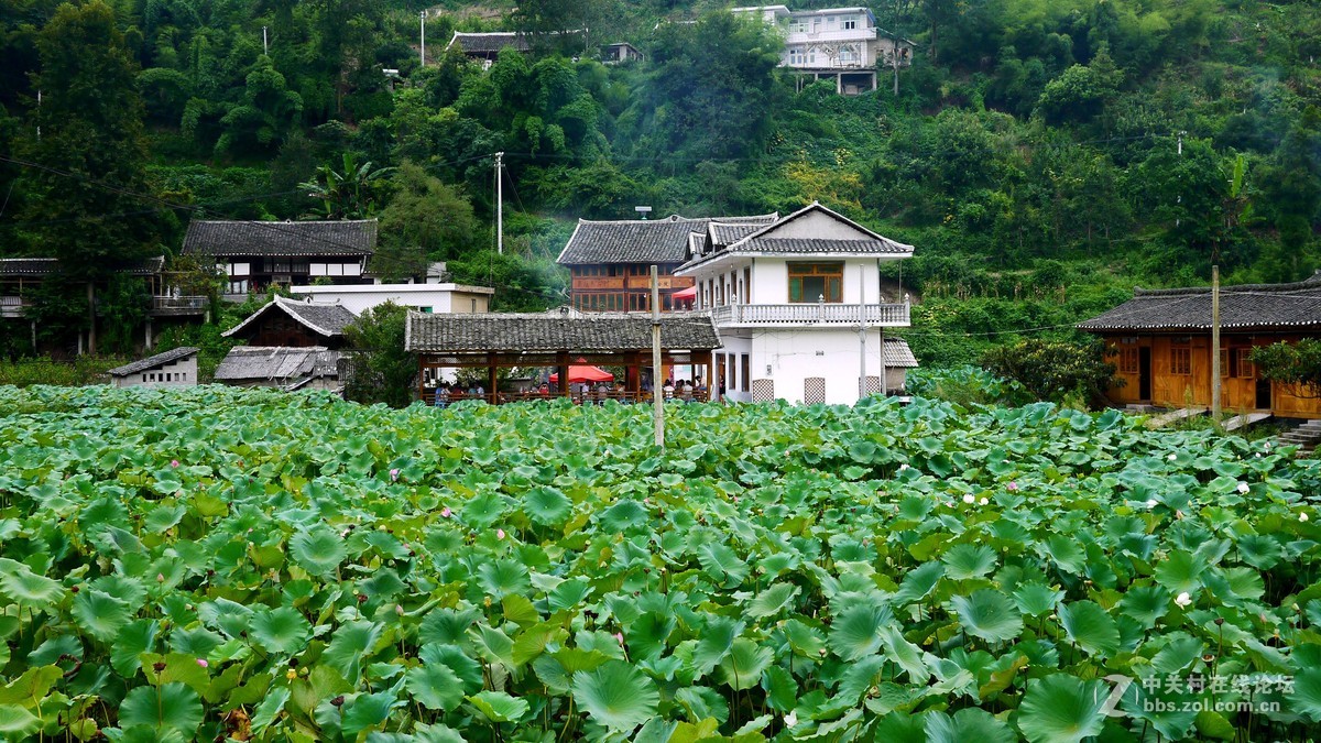 又是南江消暑时