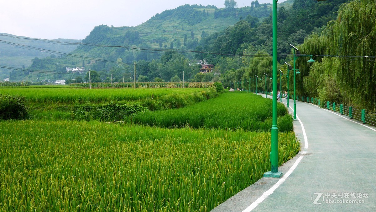 又是南江消暑时