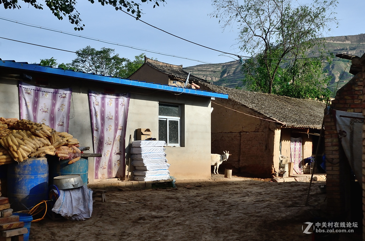 村头那棵树——甘肃贫困村纪实