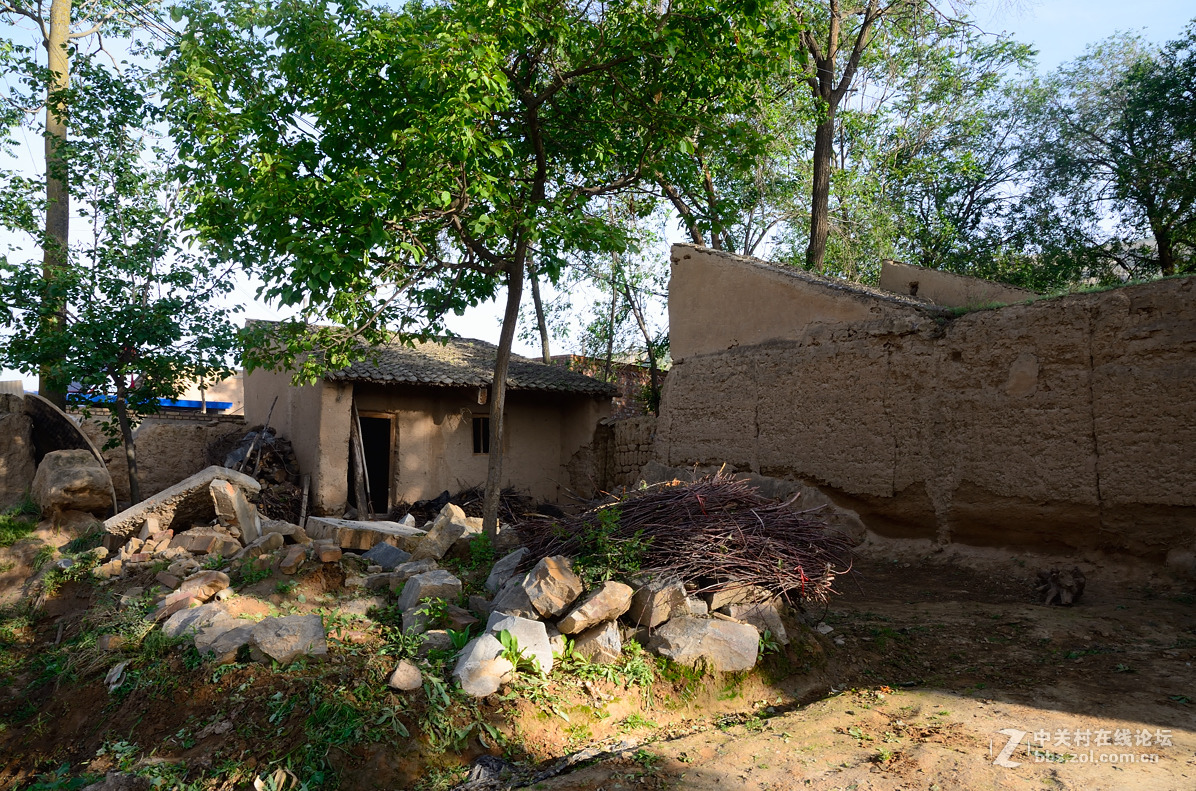 村头那棵树——甘肃贫困村纪实