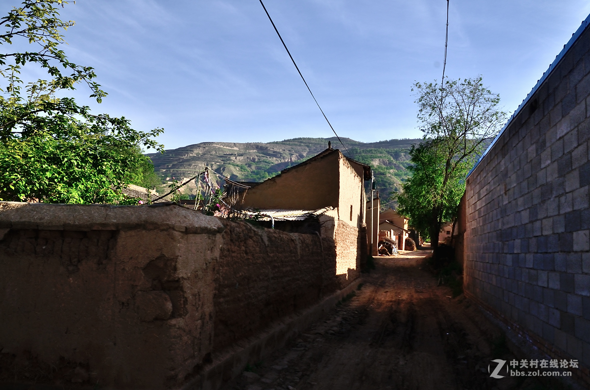 村头那棵树——甘肃贫困村纪实