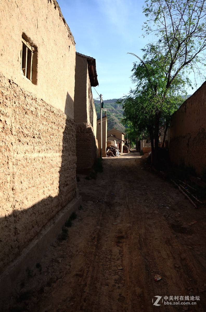 村头那棵树——甘肃贫困村纪实