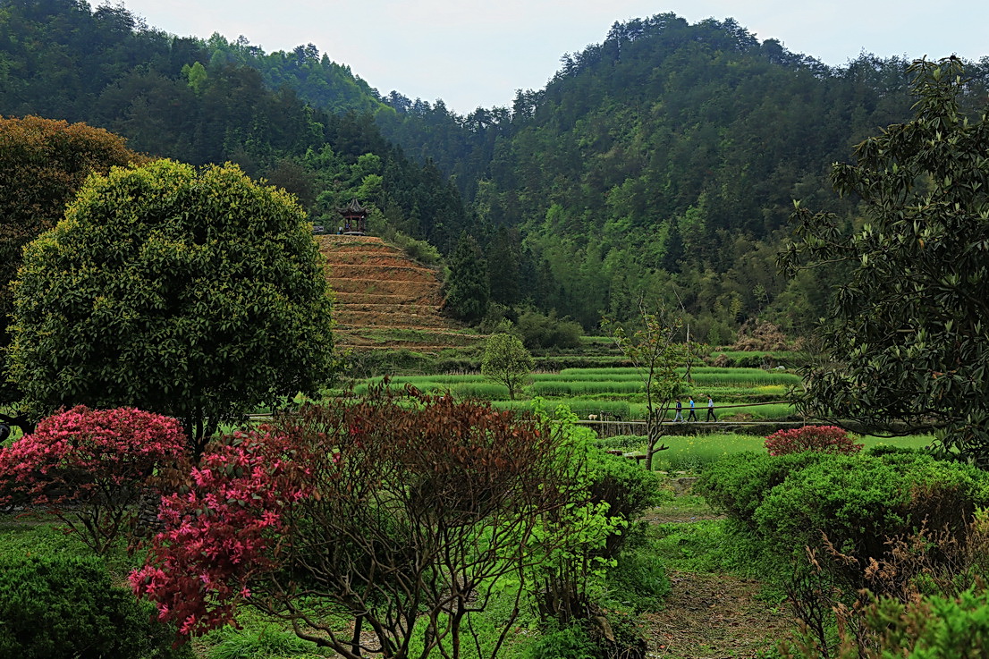 江南鄉村小景