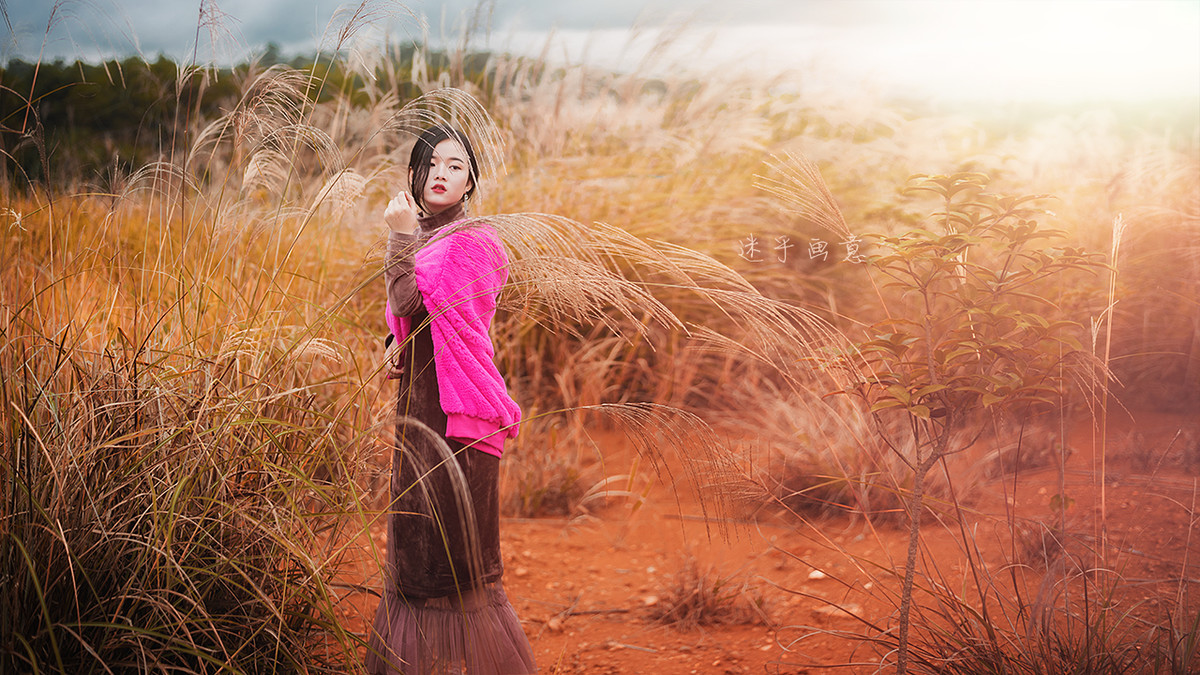 d750 50 1.8g秋草人像
