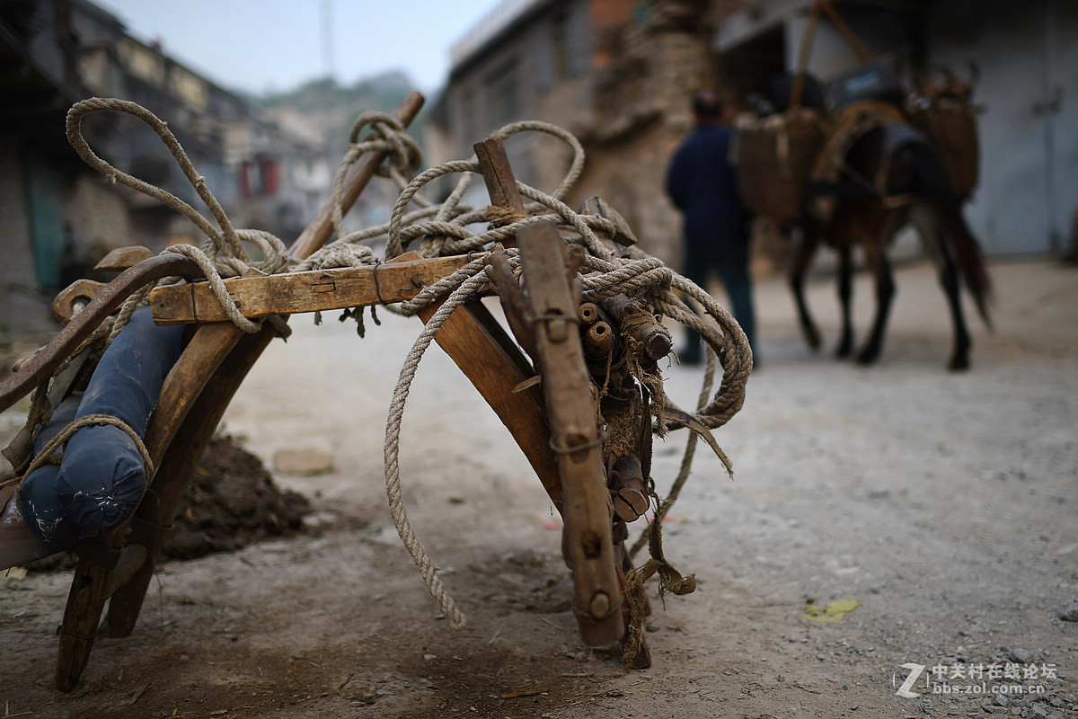 驴背上的村庄——王金庄纪实