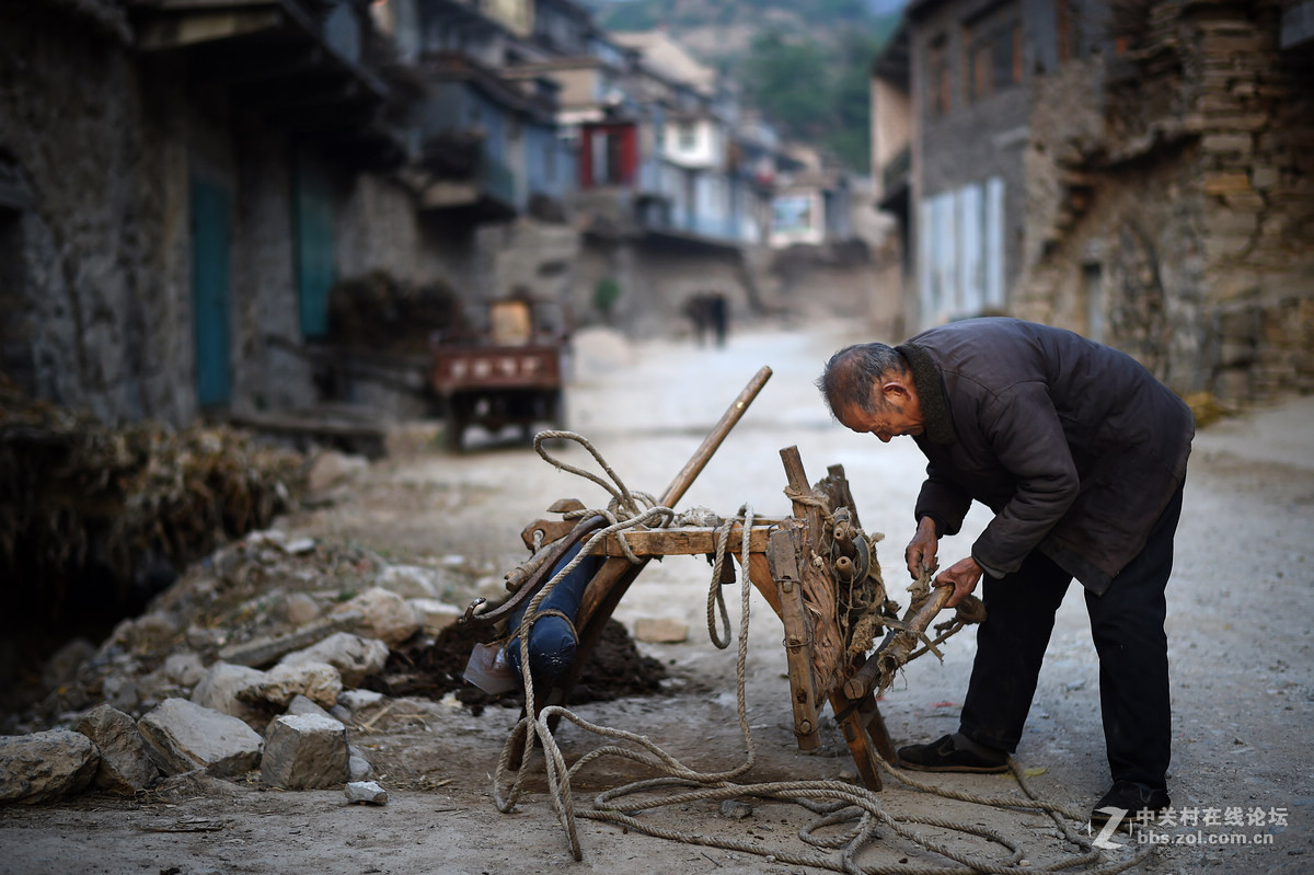 驴背上的村庄——王金庄纪实
