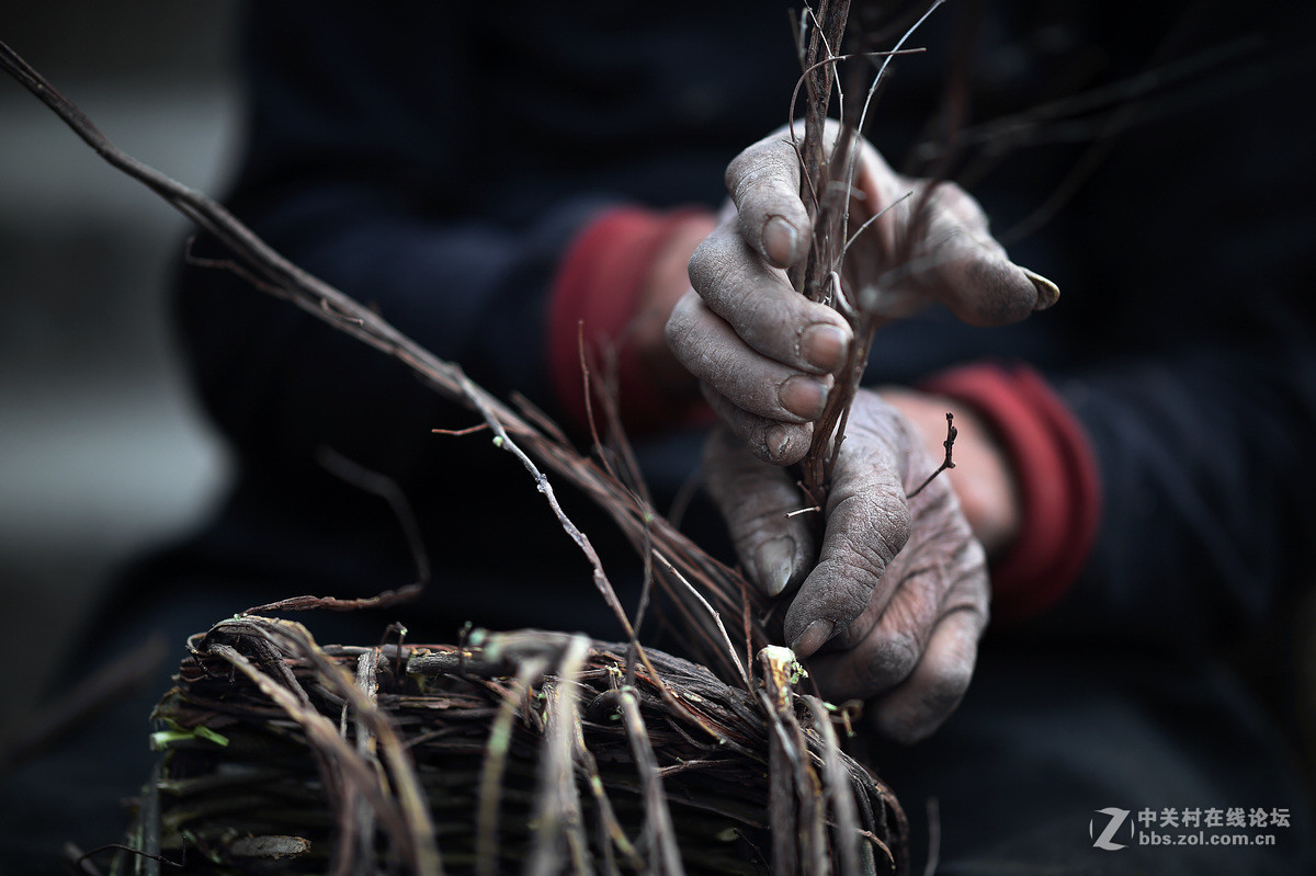 驴背上的村庄——王金庄纪实