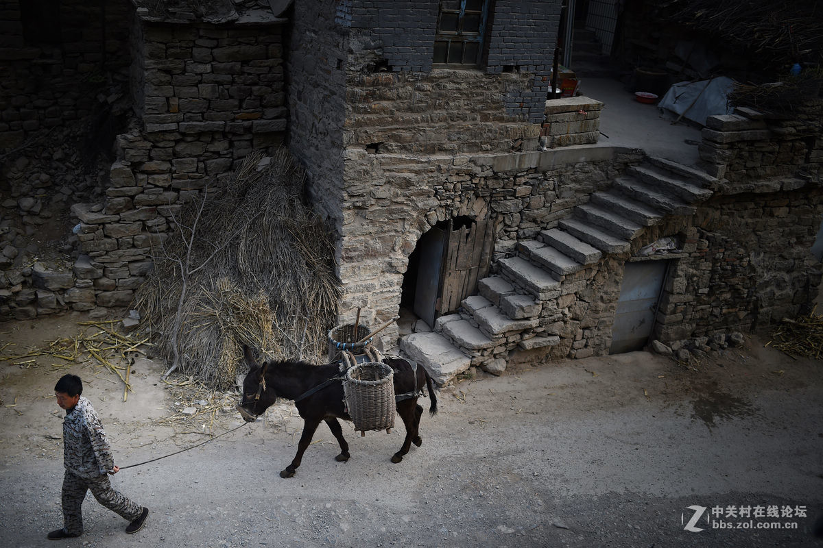 驴背上的村庄——王金庄纪实
