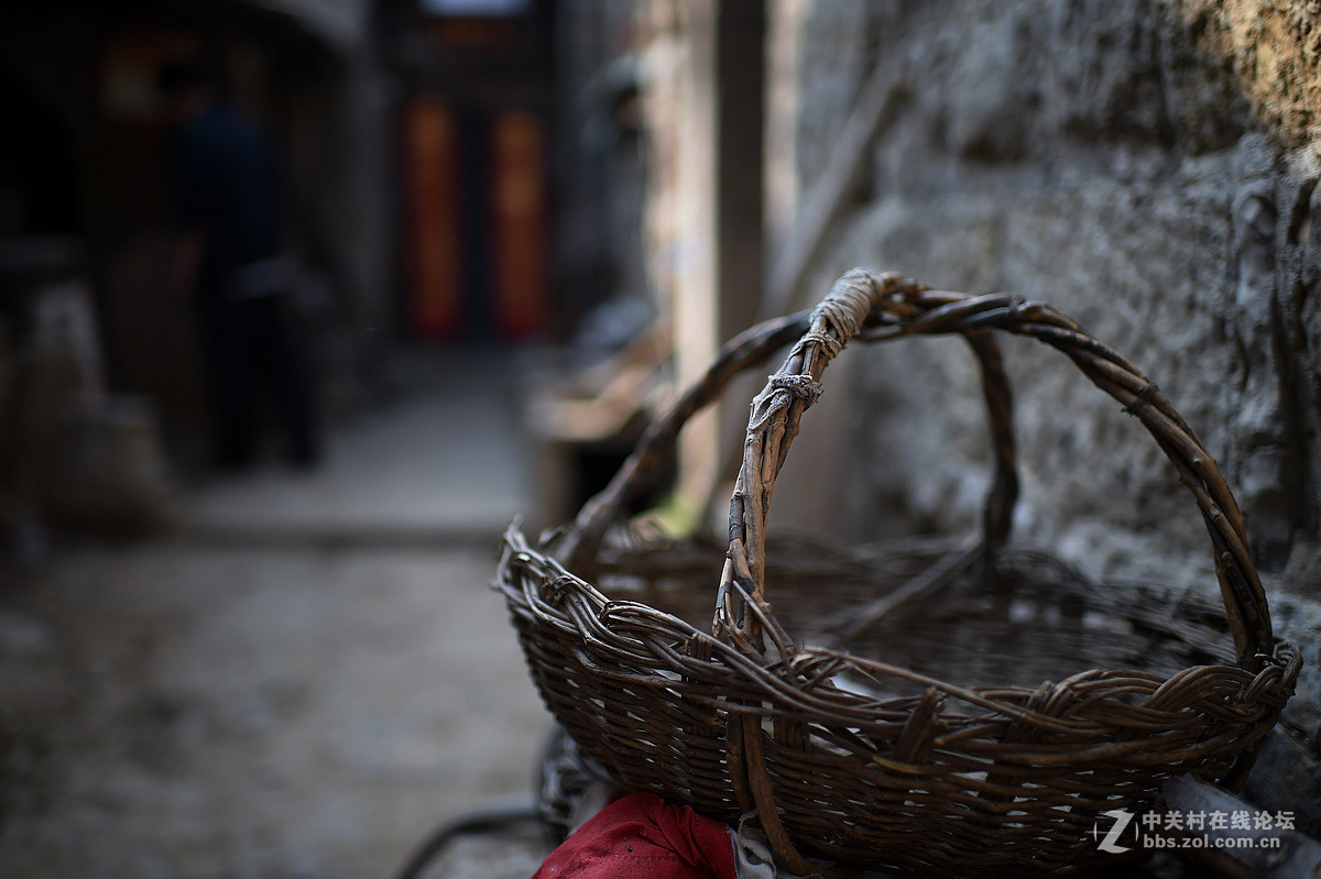 驴背上的村庄——王金庄纪实