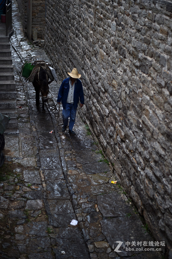 驴背上的村庄——王金庄纪实