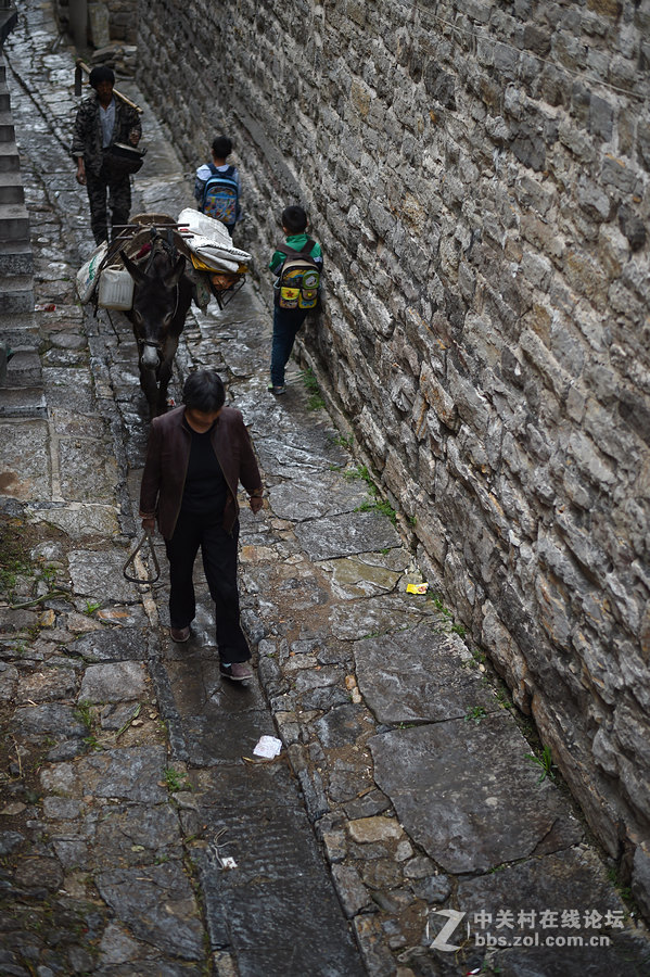 驴背上的村庄——王金庄纪实