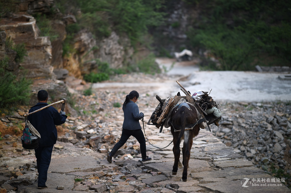 驴背上的村庄——王金庄纪实