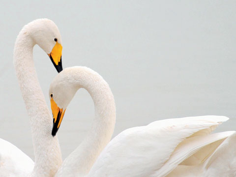 #七夕-秀恩爱#秀一波，哈哈