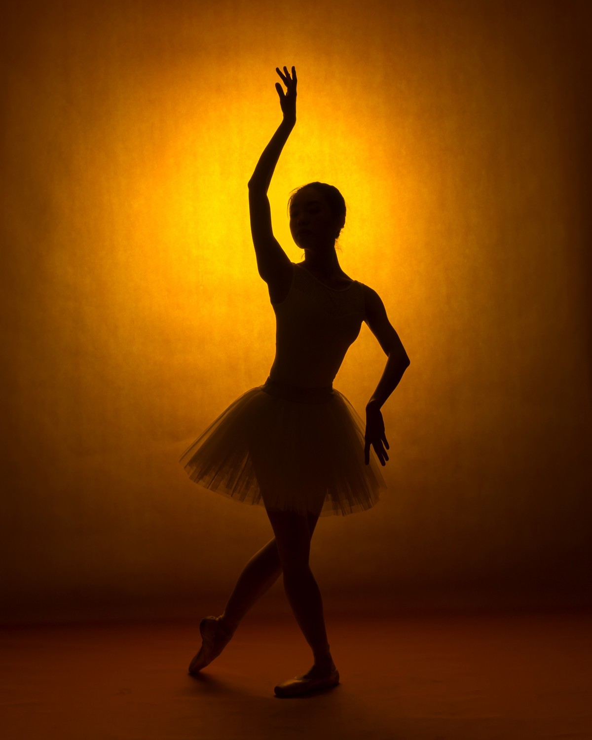 芭蕾剪影