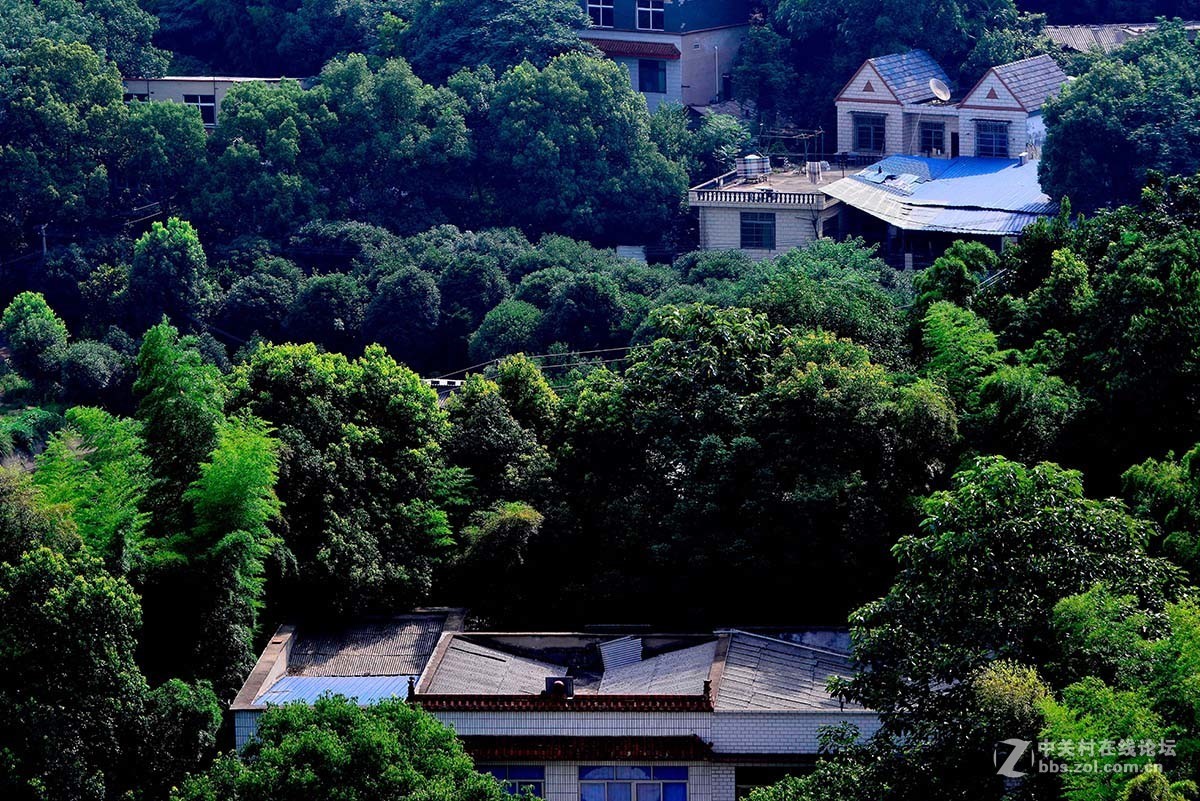 长沙宜居 天知地知