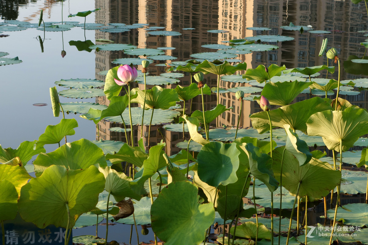 平常路，平安路，平平常常才是真