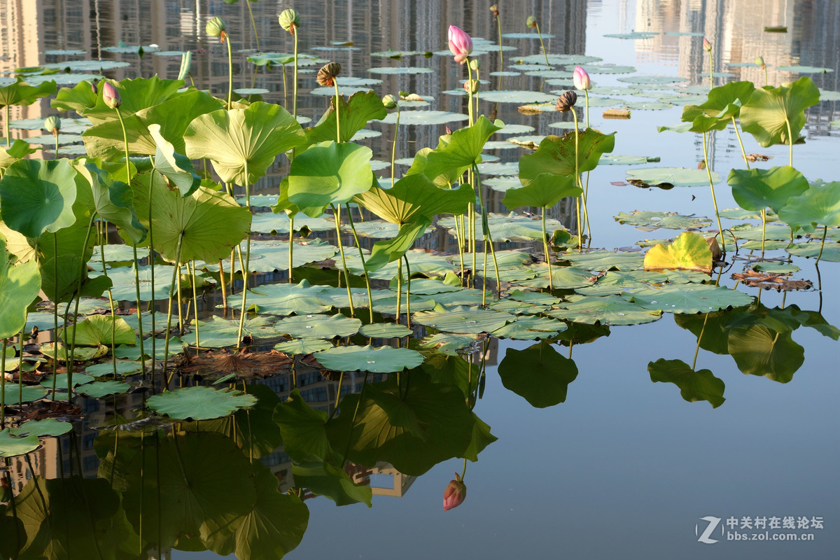 平常路，平安路，平平常常才是真