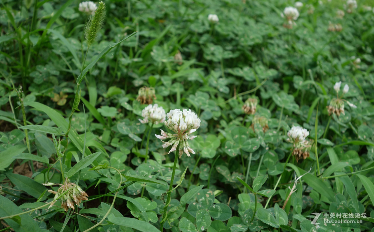 平常路，平安路，平平常常才是真