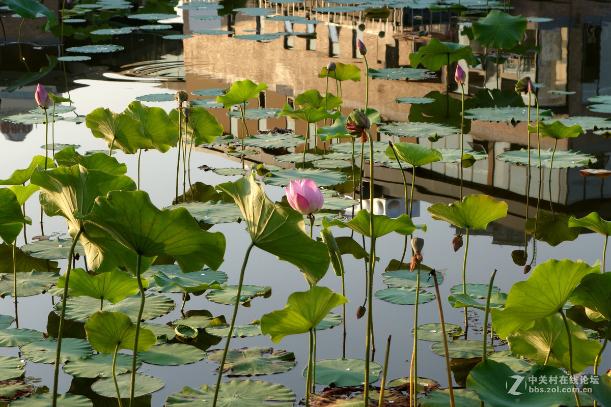 平常路，平安路，平平常常才是真