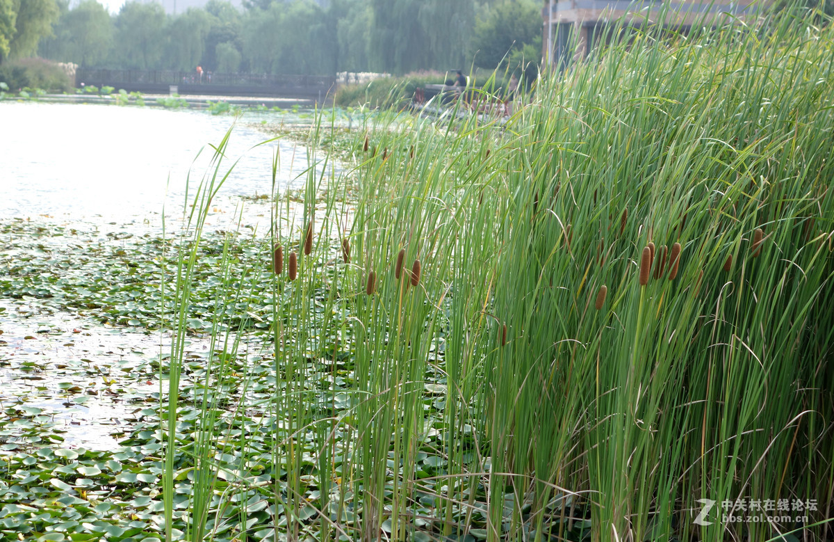 平常路，平安路，平平常常才是真