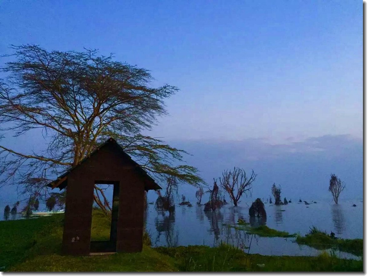 【东非纪行】纳瓦沙湖