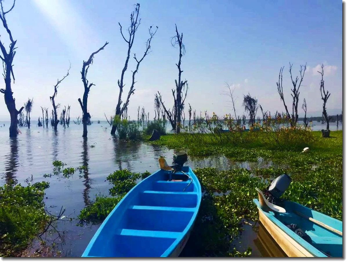 【东非纪行】纳瓦沙湖