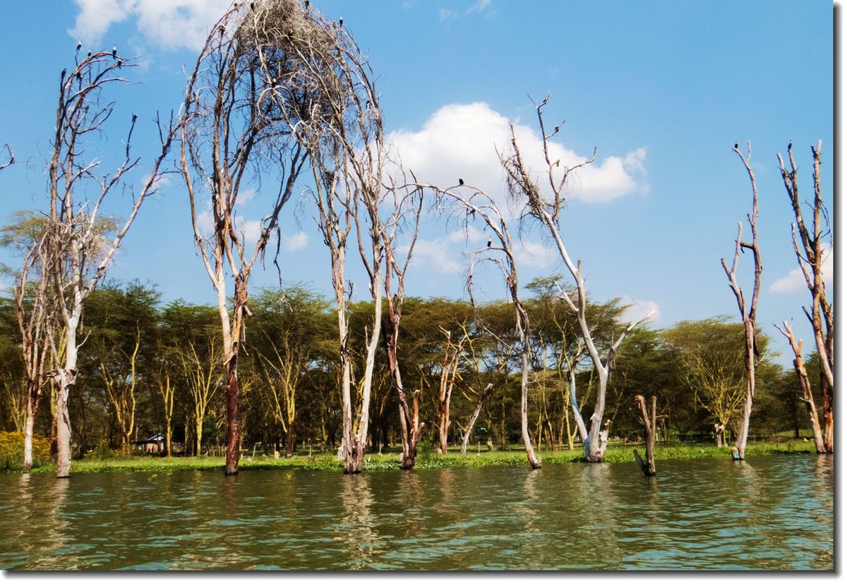 【东非纪行】纳瓦沙湖