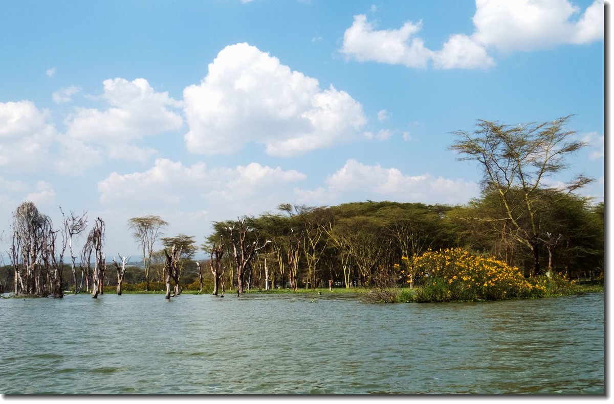 【东非纪行】纳瓦沙湖