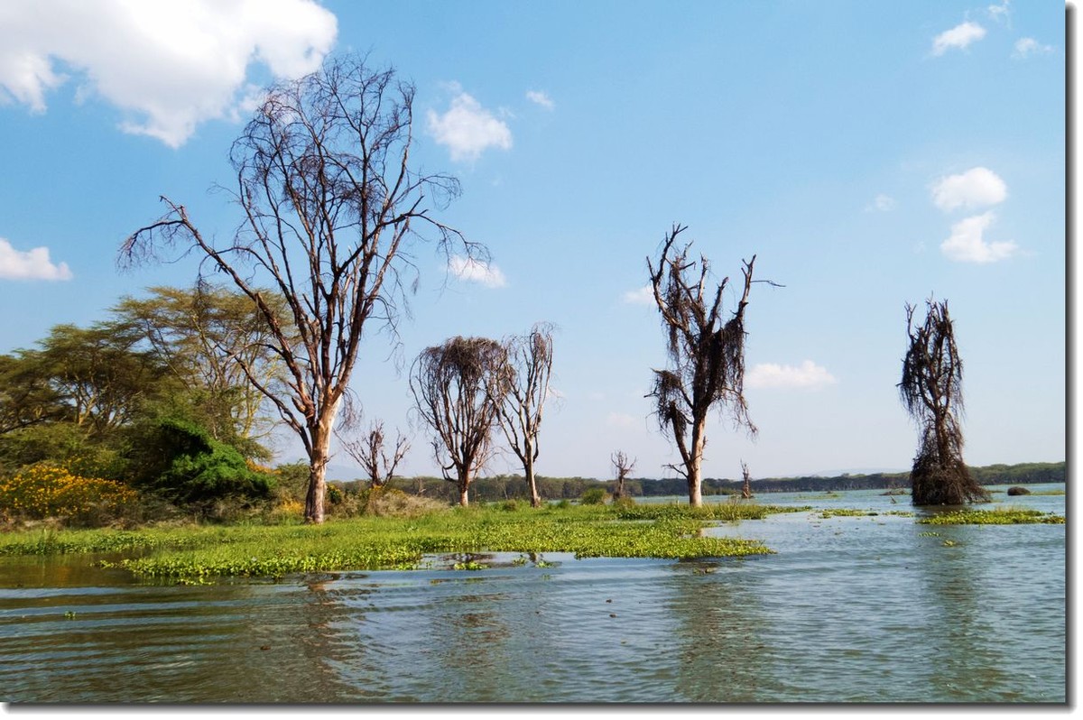 【东非纪行】纳瓦沙湖