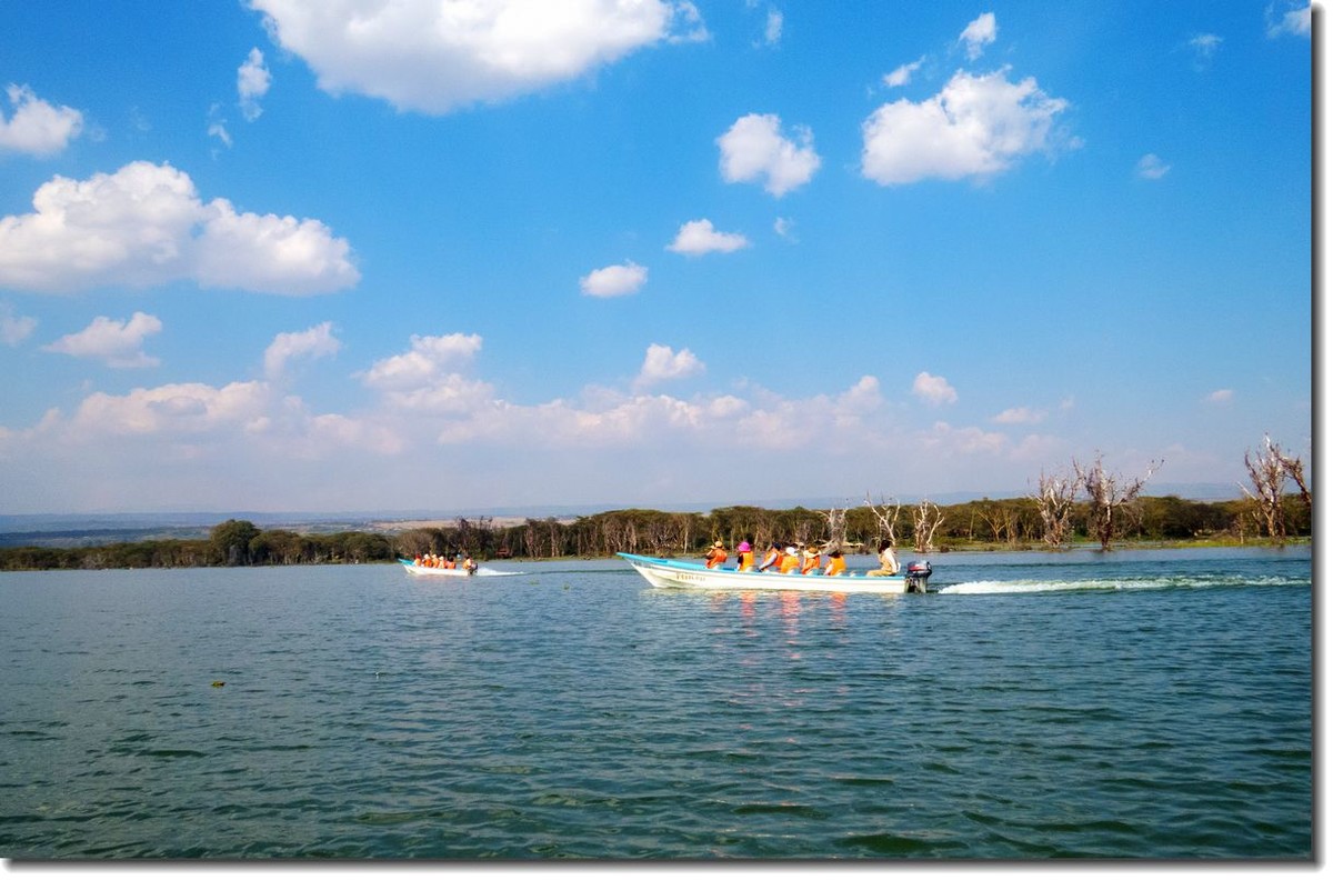 【东非纪行】纳瓦沙湖