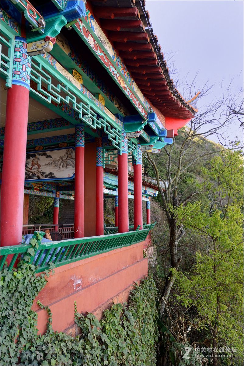 休闲随拍（363）