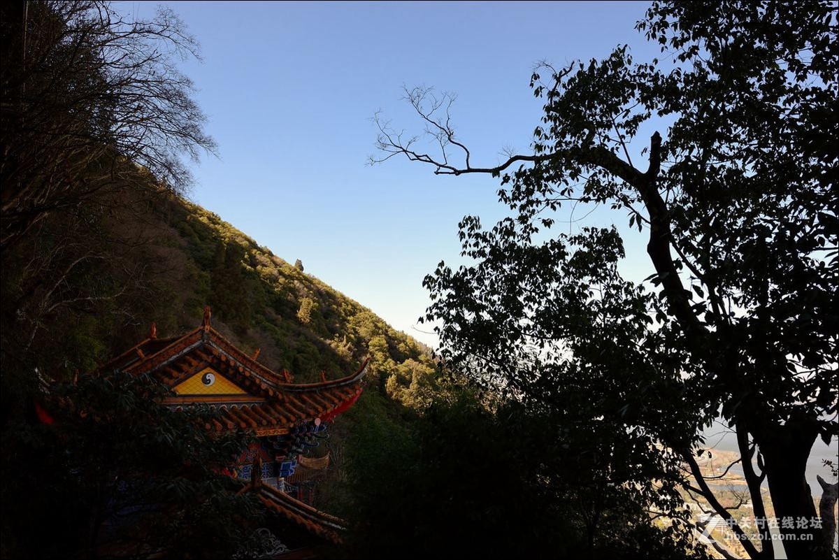 休闲随拍（363）