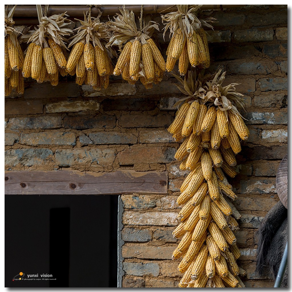 #佳能月赛-一叶知秋#探访婺源簧岭