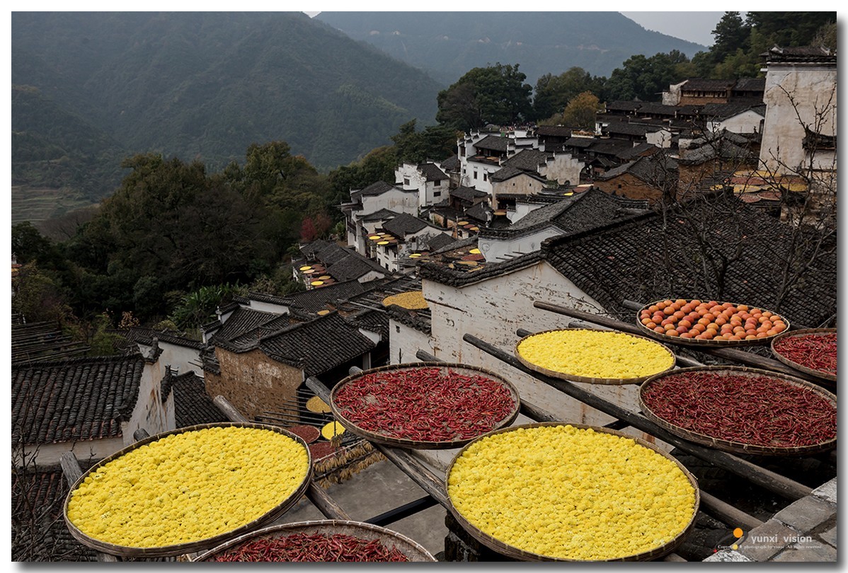 #佳能月赛-一叶知秋#探访婺源簧岭