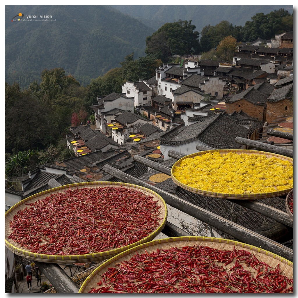 #佳能月赛-一叶知秋#探访婺源簧岭