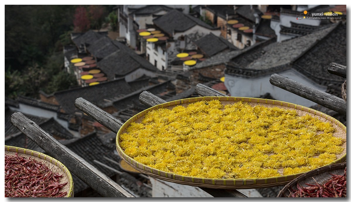 #佳能月赛-一叶知秋#探访婺源簧岭