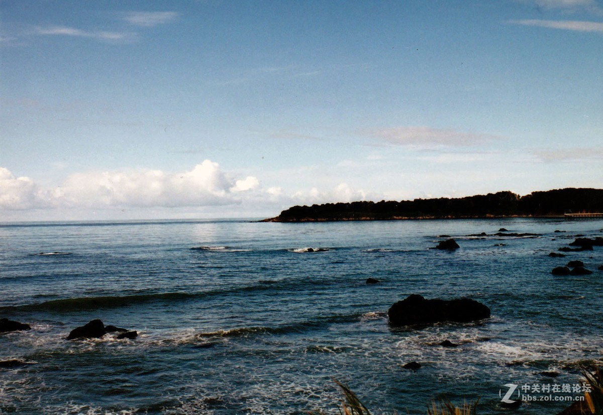 公元2000年在洛杉矶拍的几张老片。