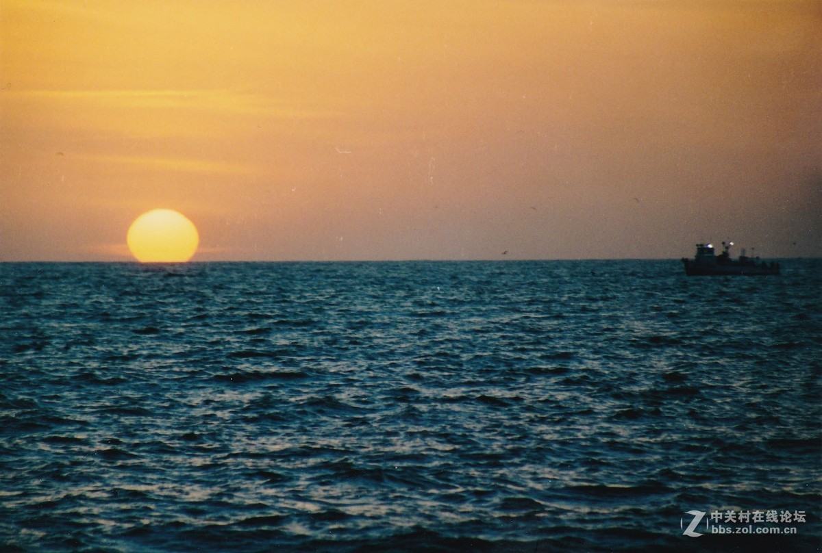 公元2000年在洛杉矶拍的几张老片。