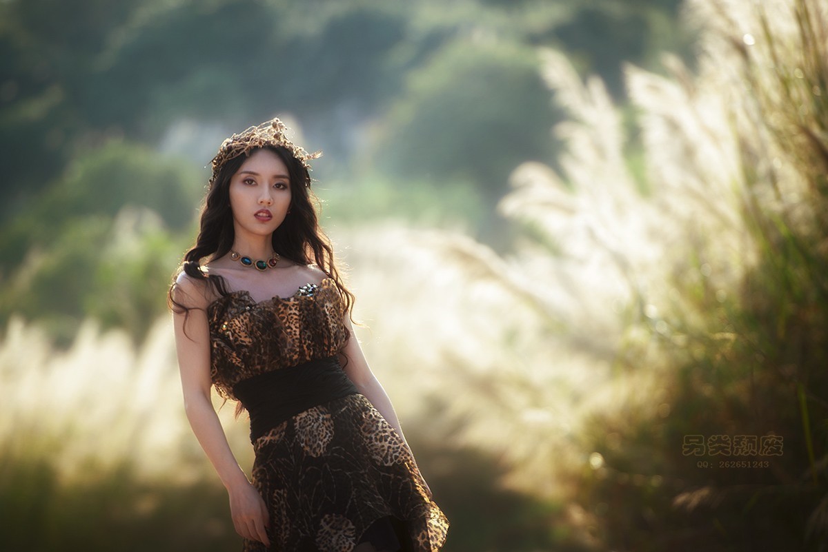 斜阳芦影~~~~~~颓废作品