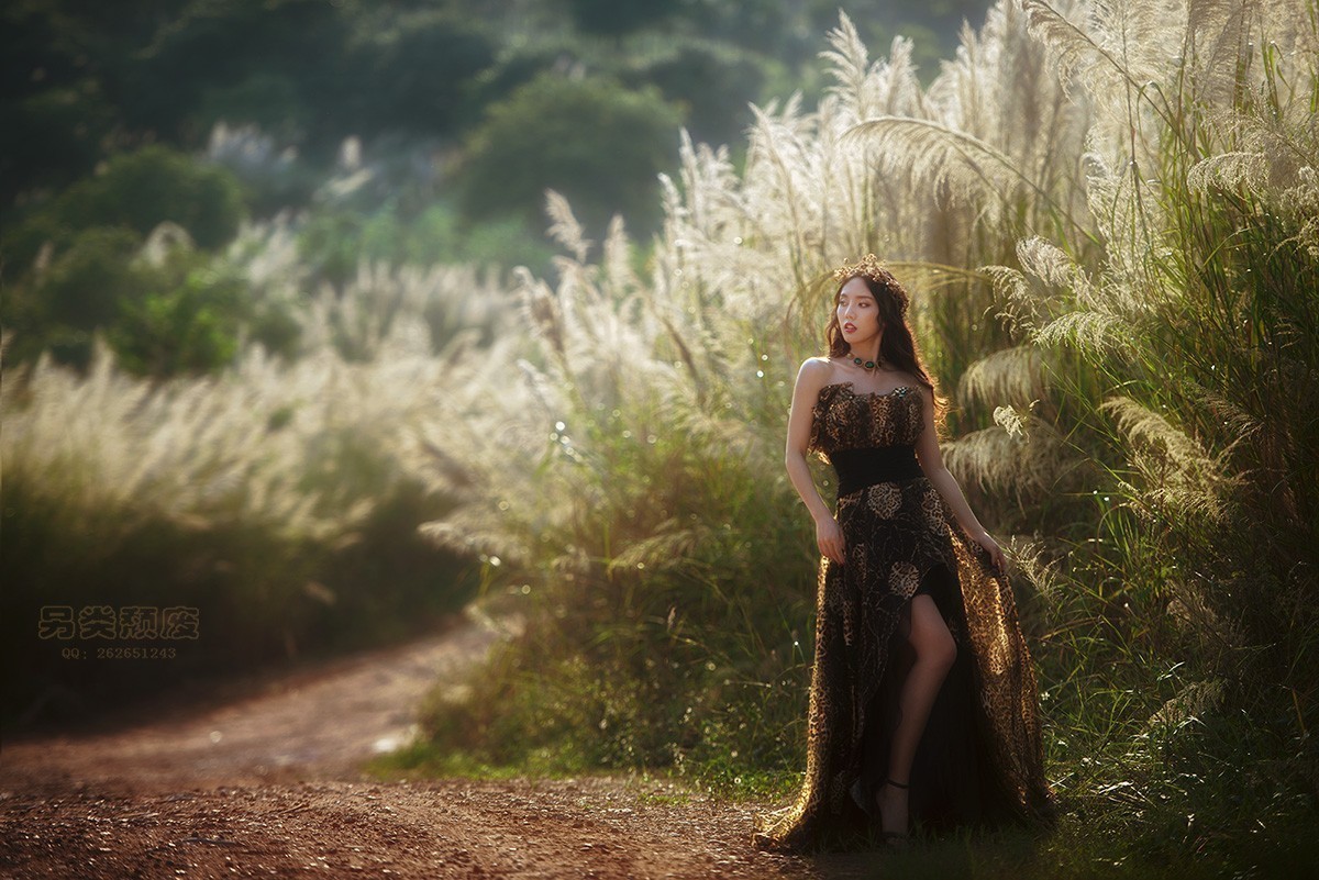 斜阳芦影~~~~~~颓废作品