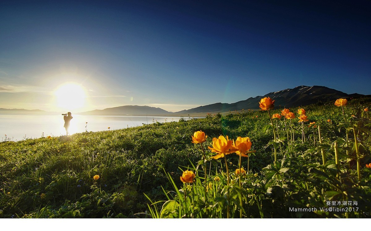 入手一年多，A6300拍的杂片。