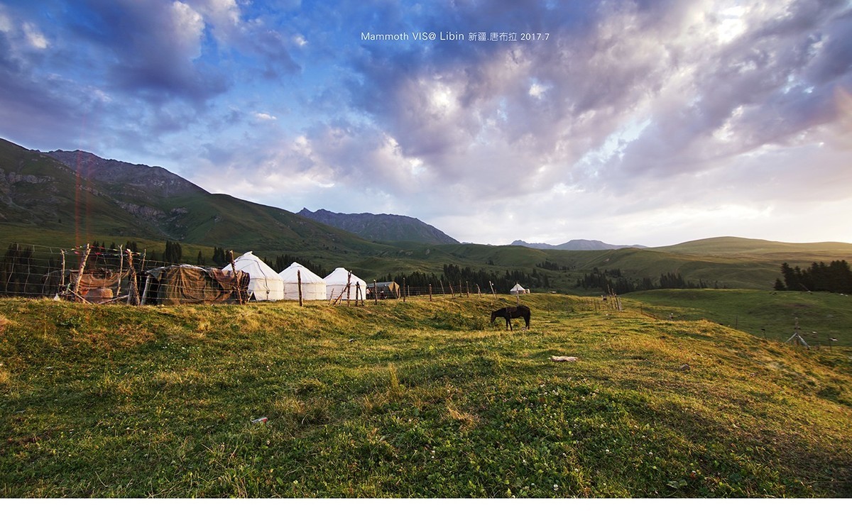 入手一年多，A6300拍的杂片。