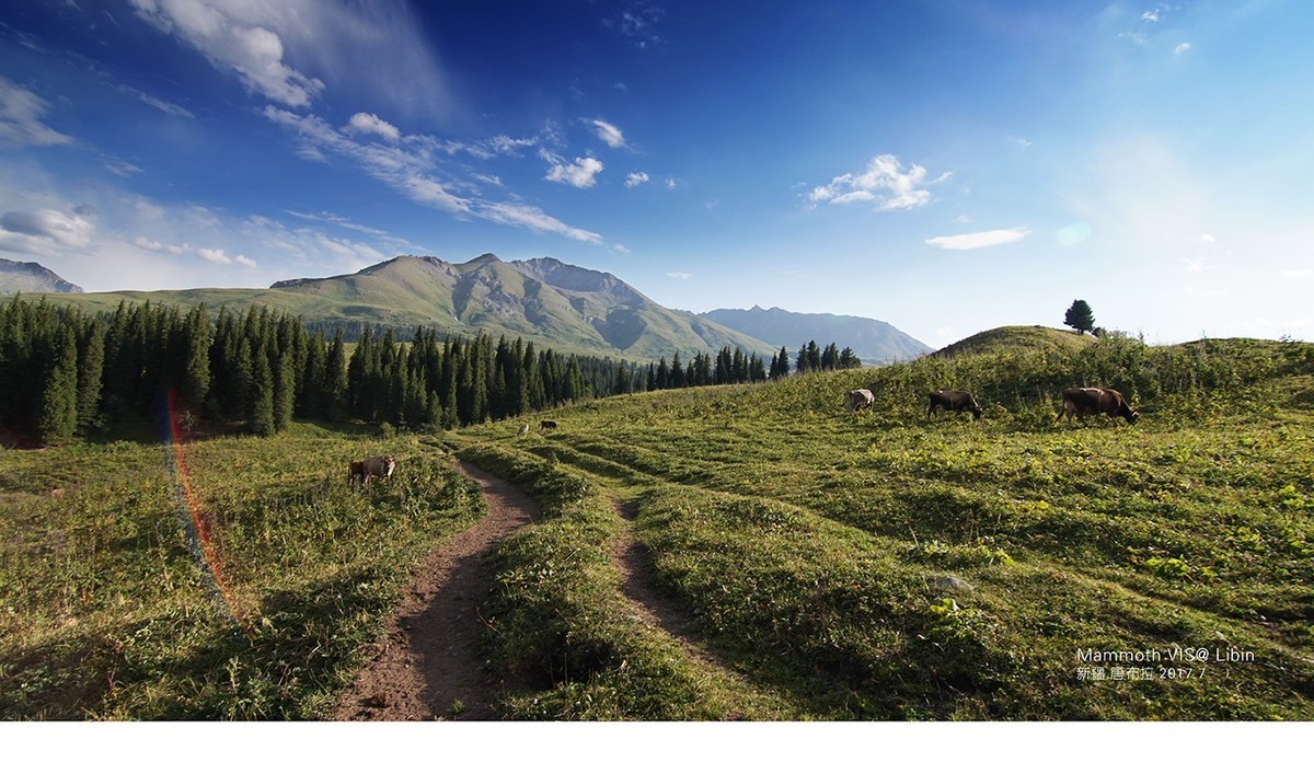 入手一年多，A6300拍的杂片。