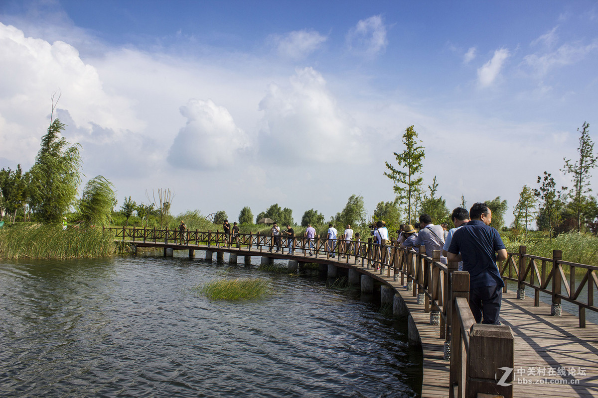 江蘇泗洪印象之洪澤湖溼地3