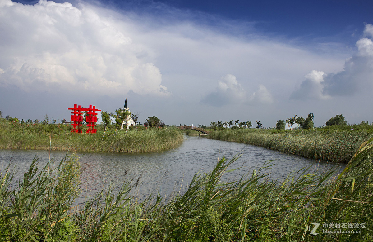 江蘇泗洪印象之洪澤湖溼地3