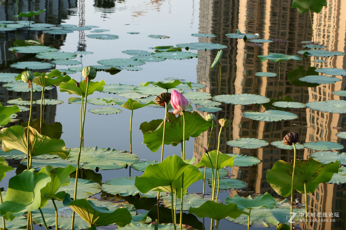 平常路，平安路，平平常常才是真
