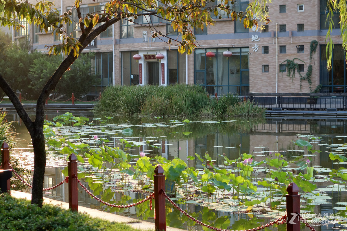 平常路，平安路，平平常常才是真